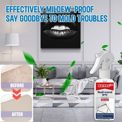 All-purpose Mildew Removal Spray