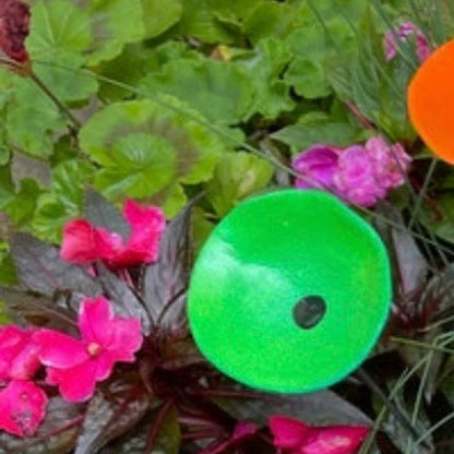 🎖️July 4th Flash Sale: 49% OFF Sitewide! 🐝Bee Watering Station,🦋Butterfly Puddler,Hummingbird Drinking Cups